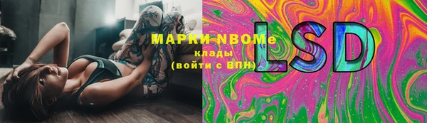 гашик Покровск