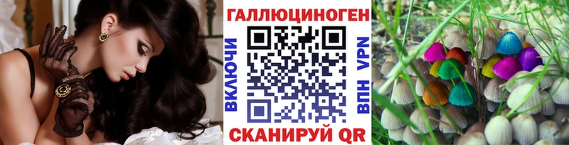 Галлюциногенные грибы мицелий  Новоузенск 