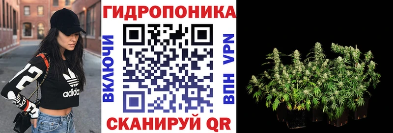 МАРИХУАНА тримм  где найти наркотики  Новоузенск 